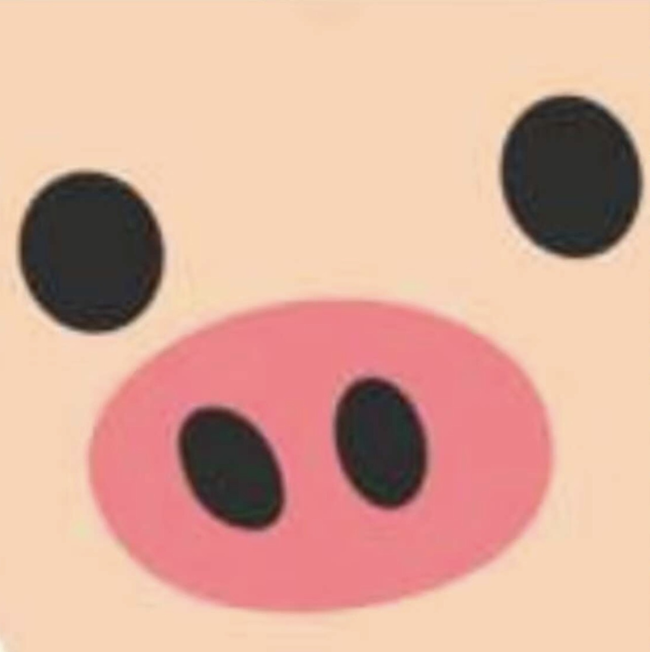 🐖